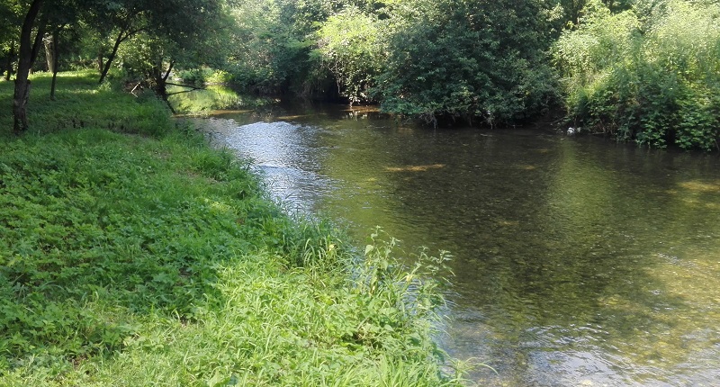 Il fiume Seveso sul sentiero 9 del Parco della Brughiera