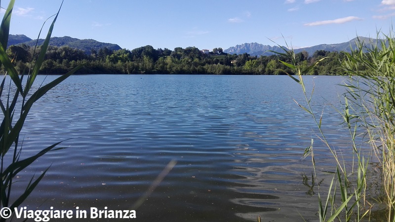 Il lago di Sartirana