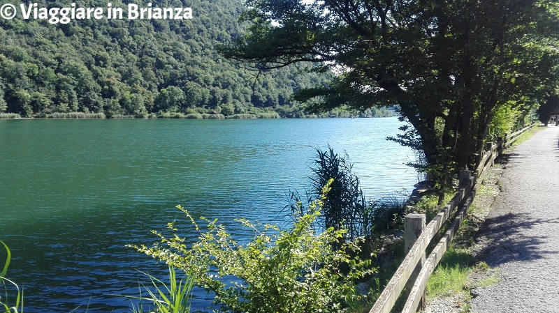 Il lago del Segrino, lago balneabile