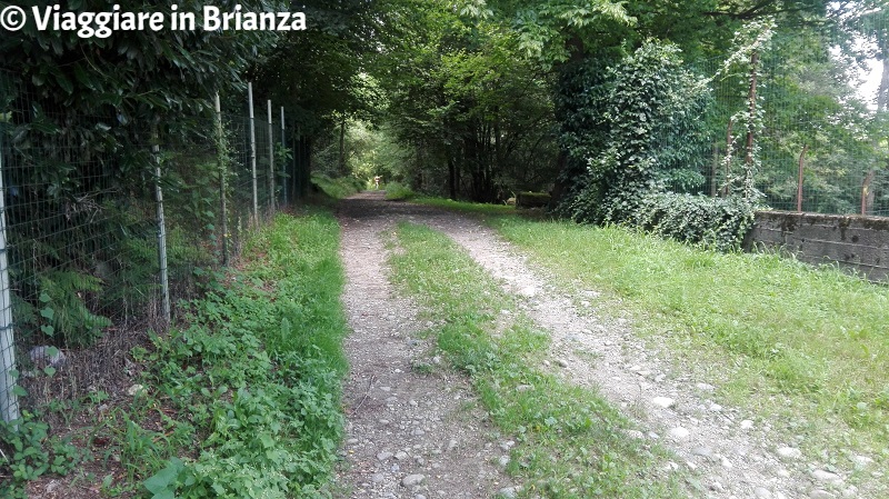 Parco della Brughiera Briantea, il sentiero 9