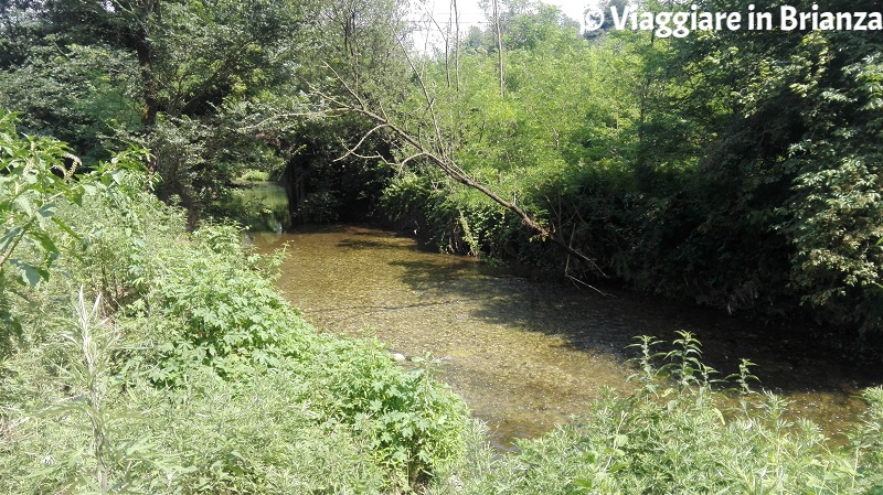 Il Seveso sul sentiero 9 del Parco della Brughiera