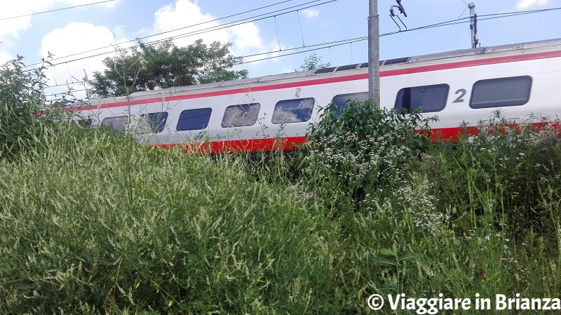 Il treno sul sentiero 9 del Parco della Brughiera