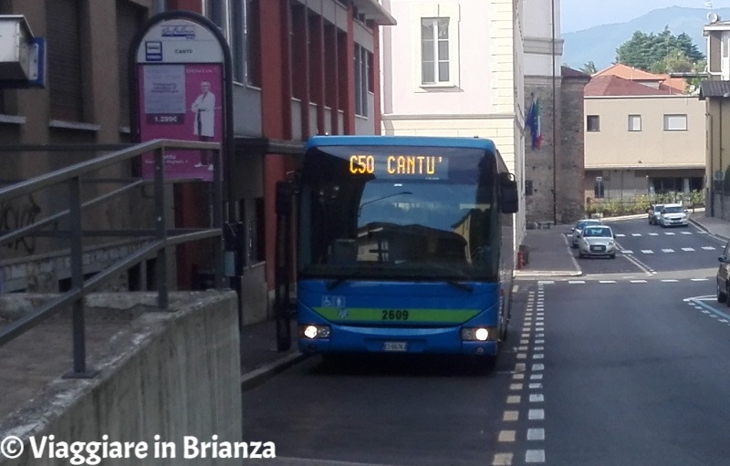 L'autobus C50