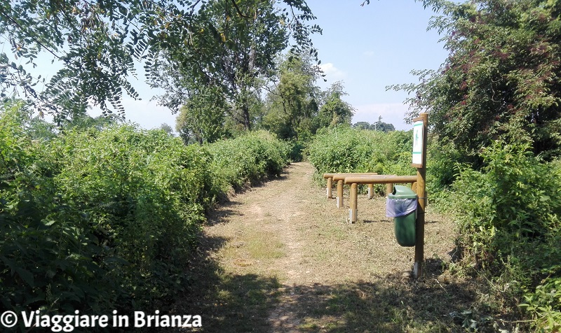 Cosa fare a Macherio, il Parco delle Torrette e del Boscone