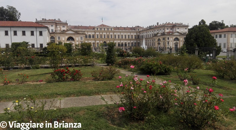 Cosa fare a Monza, il Roseto Niso Fumagalli