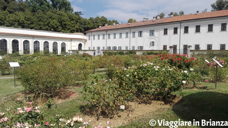 Il Roseto Niso Fumagalli e la Rotonda