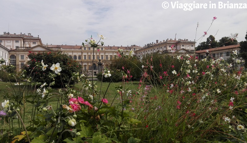 Il Roseto Niso Fumagalli e la Villa Reale