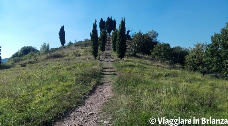 Cosa fare a La Valletta Brianza, la Collina dei Cipressi