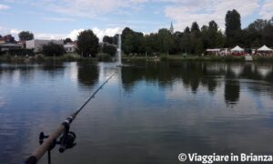 Dove pescare vicino a Milano, il laghetto di Giussano