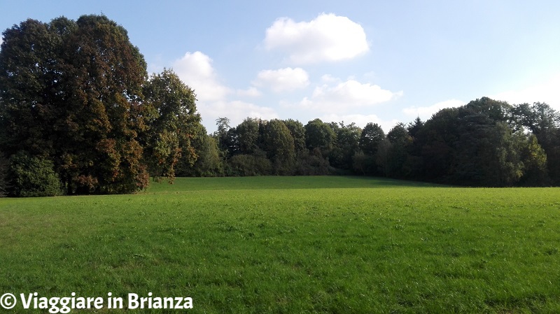 Il prato del Parco di Villa Dho