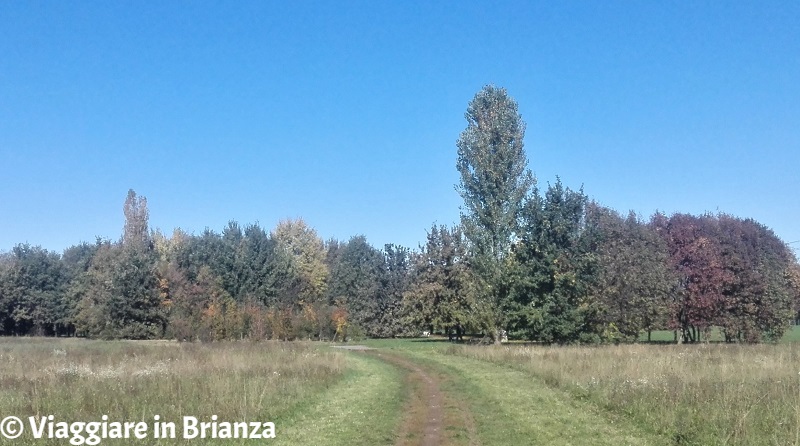 Cosa fare a Meda, il Parco della Porada