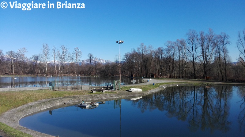 Dove pescare vicino a Milano, i Laghi Verdi di Inverigo