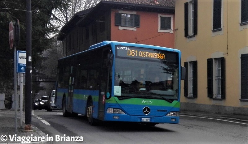 Autobus D61