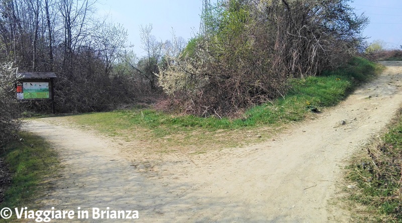 Il bivio della pista ciclabile dell'Oasi Lipu a Cesano Maderno