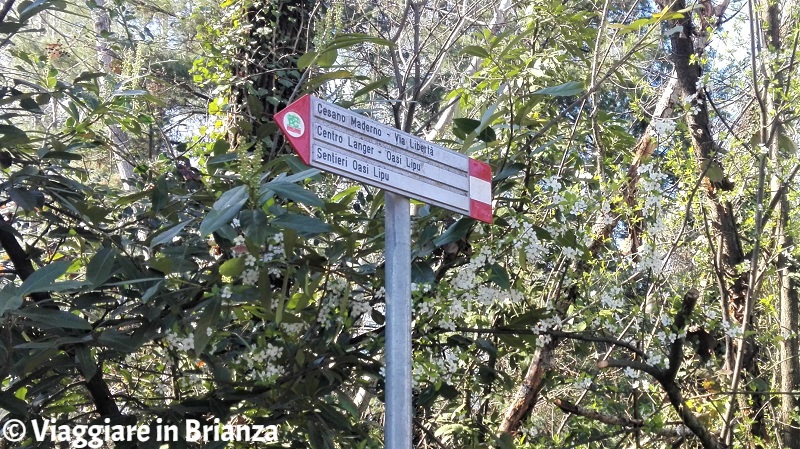 Il cartello della pista ciclabile 22 del Parco delle Groane