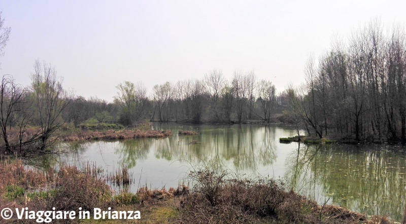 Cesano Maderno, Oasi Lipu: l'area umida