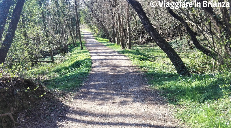 Cesano Maderno, la pista ciclabile 22 del Parco delle Groane