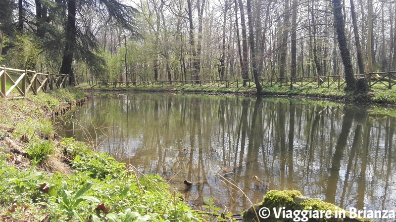 Cosa fare nel Parco di Monza, il Laghetto della Valle dei Sospiri