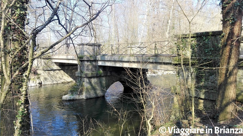 Cosa fare al Parco di Monza, il Ponte dei Bertoli