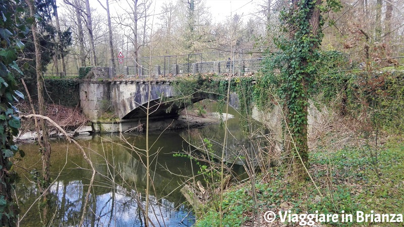 Cosa fare al Parco di Monza, il Ponte della Cavriga