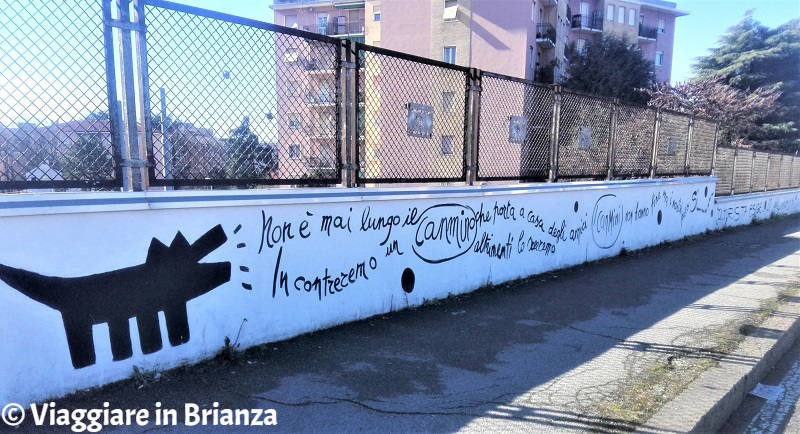 Monza, il murales In canmino di Elisabetta Oneto