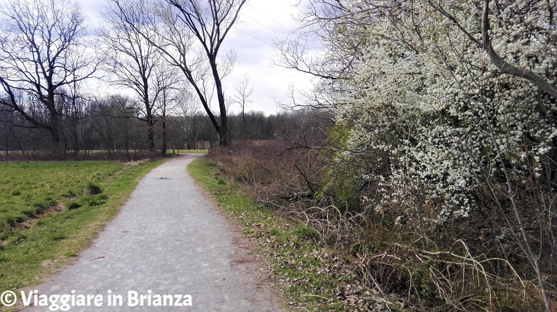 Il paesaggio del sentiero 28 del Parco delle Groane