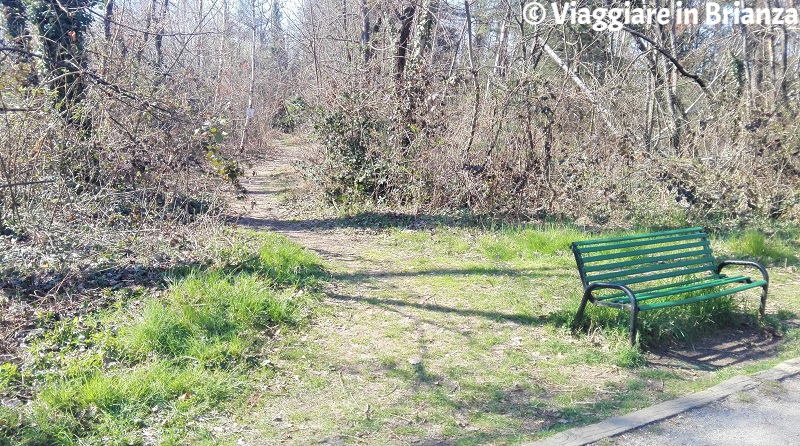 La panchina della pista ciclabile 22 del Parco delle Groane