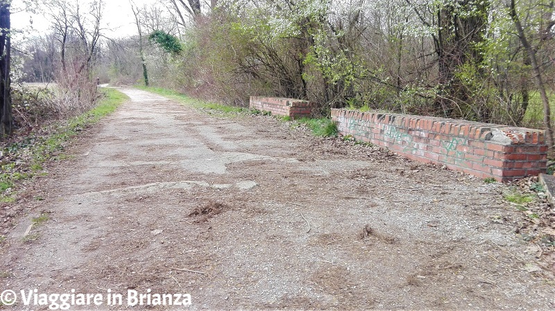 Panchine sul sentiero 28 del Parco delle Groane a Barlassina