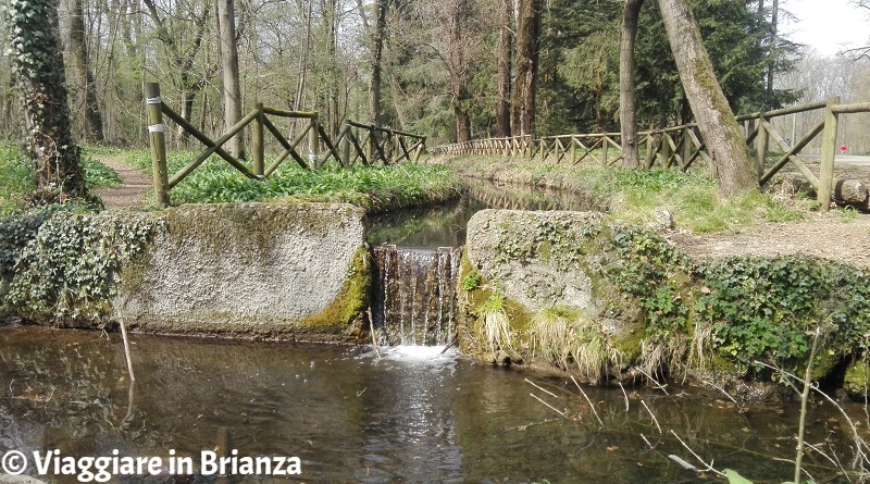 Parco di Monza, la Roggia del Principe e la Roggia Pelucca