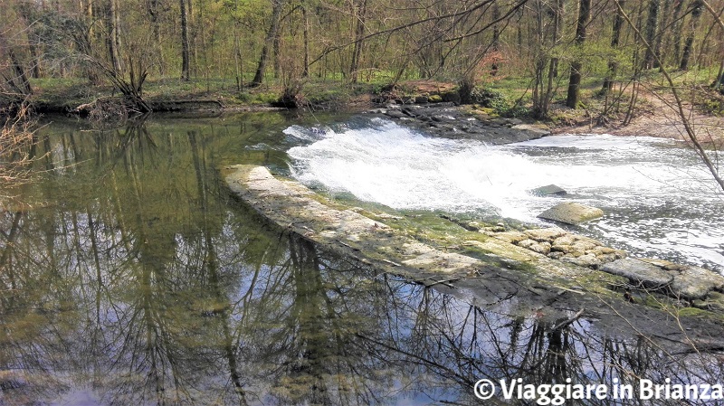 Parco di Monza, la spiaggia sul Lambro