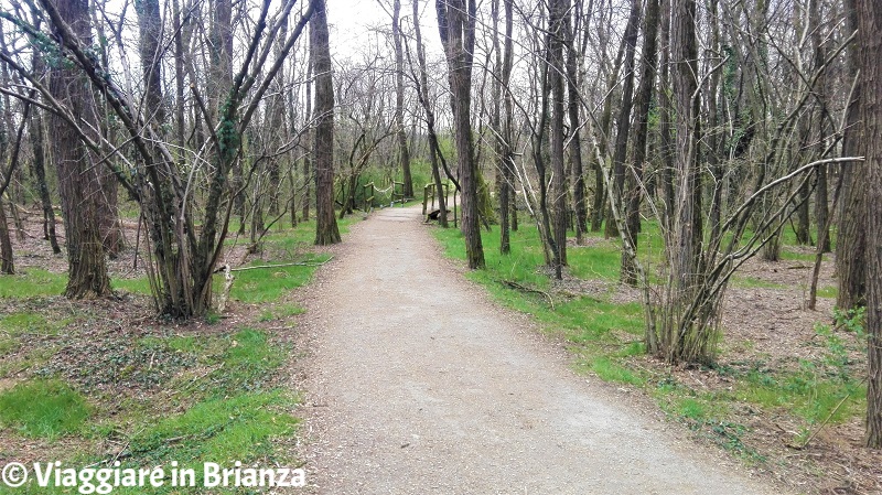 La pista ciclabile 28 del Parco delle Groane