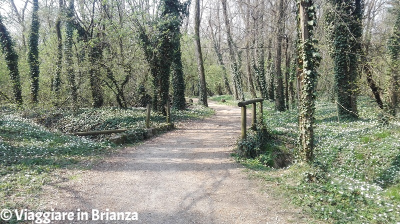 La pista ciclabile dell'Oasi Lipu a Cesano Maderno