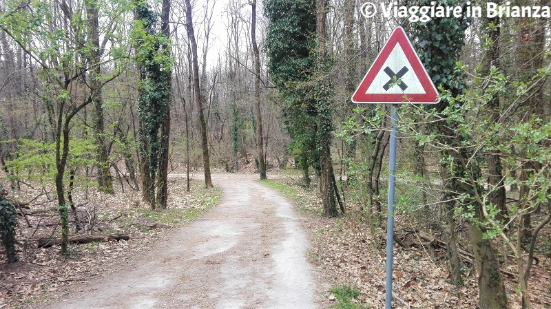 Il quadrivio del sentiero 28 del Parco delle Groane a Barlassina