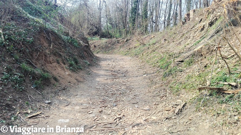 La salita della pista ciclabile dell'Oasi Lipu di Cesano