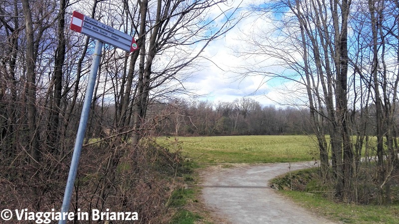 Uno scorcio del sentiero 28 del Parco delle Groane