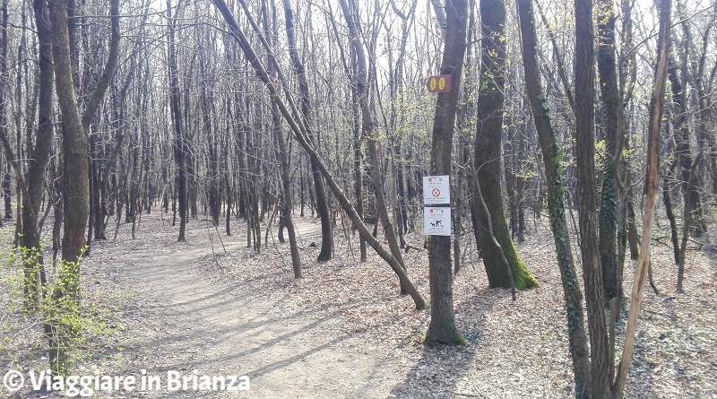 I sentieri dell'Oasi Lipu di Cesano Maderno