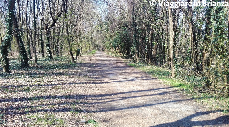 Il sentiero 22 del Parco delle Groane