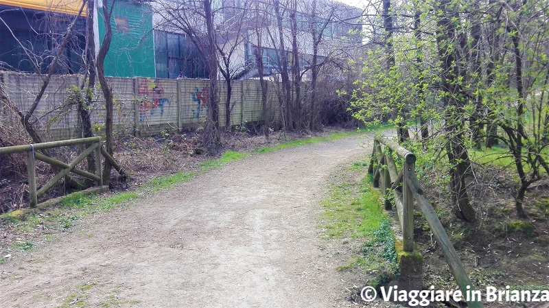 Il sentiero 28 al Parco delle Groane a Barlassina