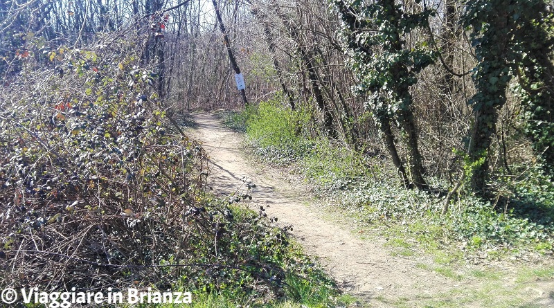 Un sentiero pedonale nell'Oasi Lipu di Cesano