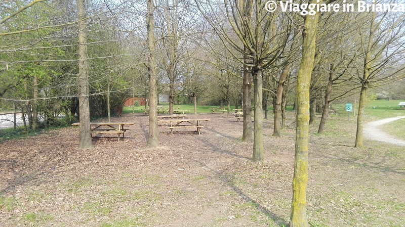 L'area picnic nell'Oasi Lipu di Cesano