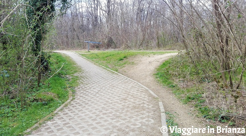 Il bivio della pista ciclabile 27