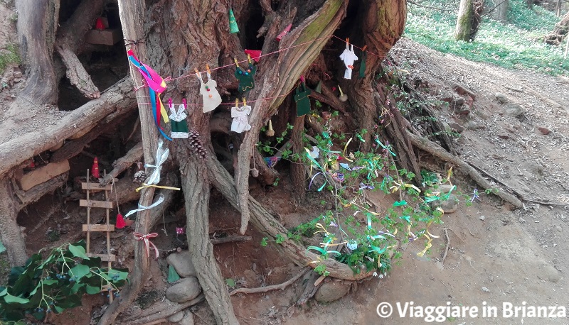 Il Bosco degli Gnomi dell'Oasi Lipu di Cesano