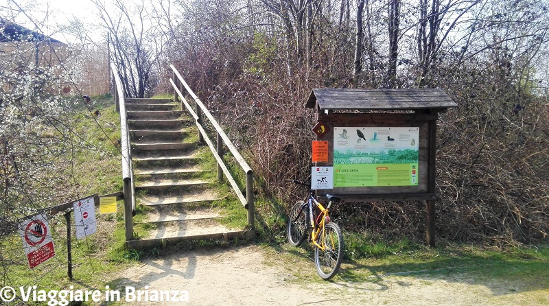 Il capanno del birdwatching dell'Oasi Lipu