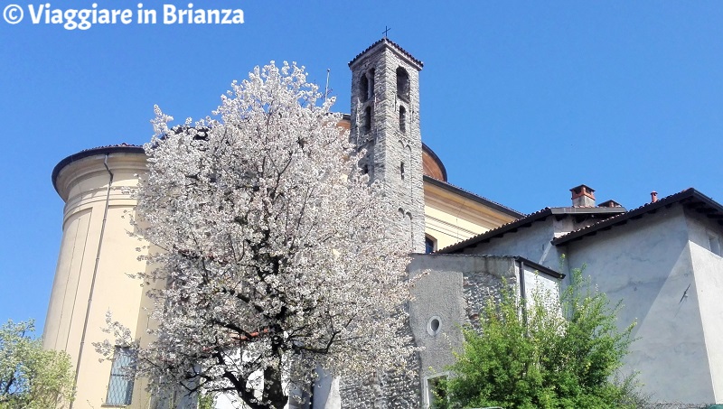 Cosa fare a Cucciago, la Chiesa di San Vincenzo