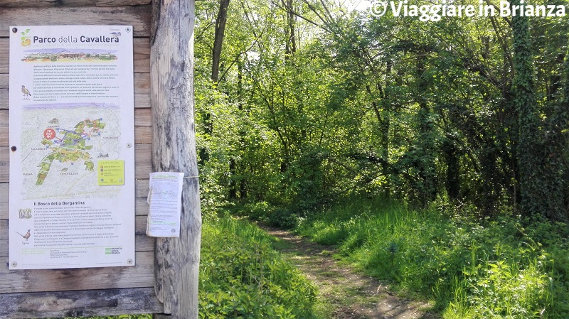 Cosa vedere ad Arcore, il Bosco della Bergamina