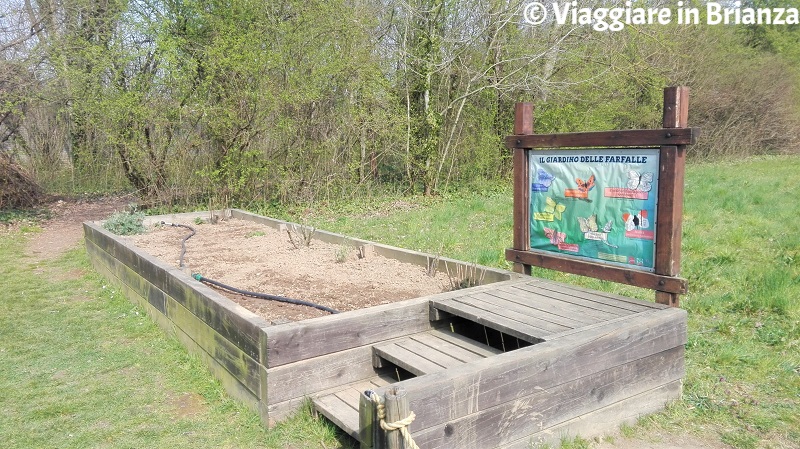 Il Giardino delle Farfalle all'Oasi Lipu di Cesano