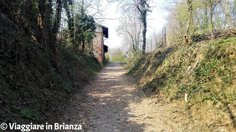 Oasi Lipu a Cesano Maderno, la salita per Cascina Montina