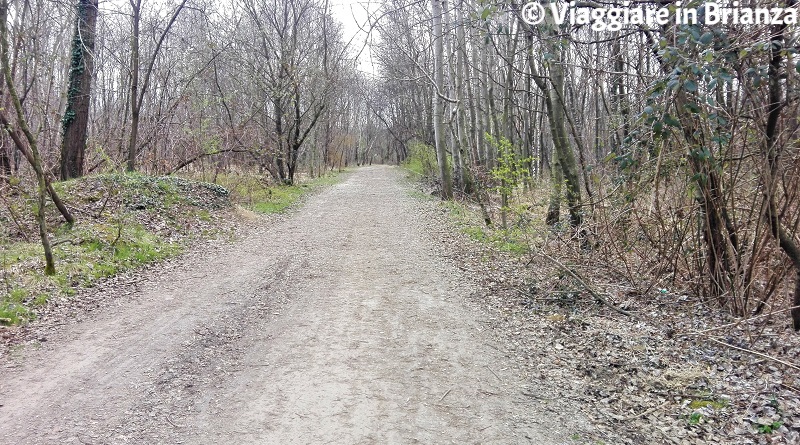 La pista ciclabile 27 del Parco delle Groane