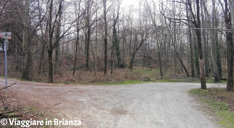 Piste ciclabili nel Parco delle Groane a Seveso