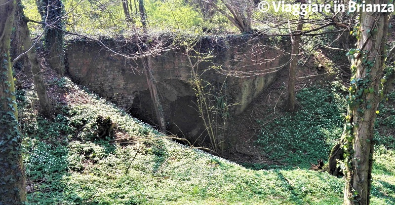 Il Ponte delle Streghe all'Oasi Lipu di Cesano Maderno